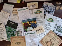 Growing plants from seed